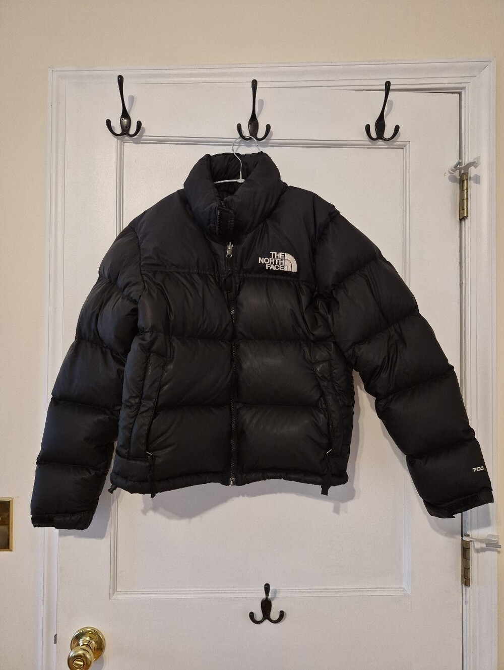 North Face Down Jacket